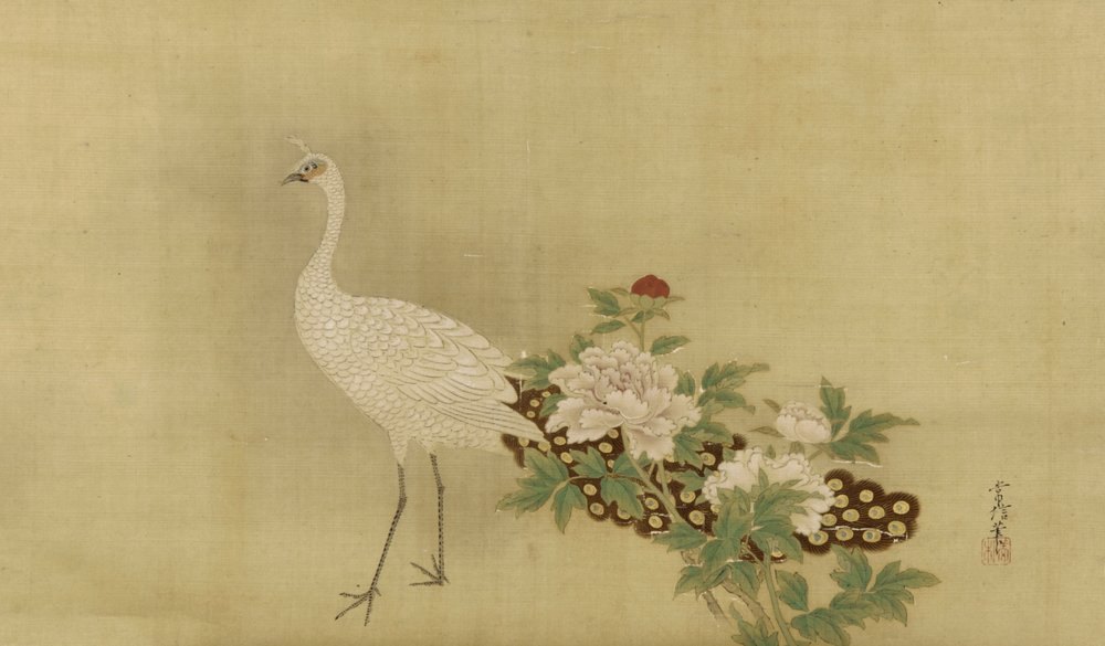 Paon blanc et pivoines, période Edo, milieu du XVIIe-début du XVIIIe siècle - Kano Tsunenobu
