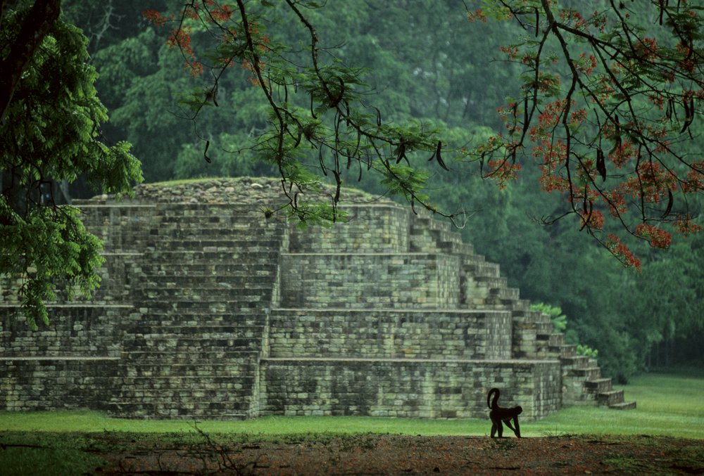 Honduras; Copan; Maya | Kenneth Garrett | Estampe d'art