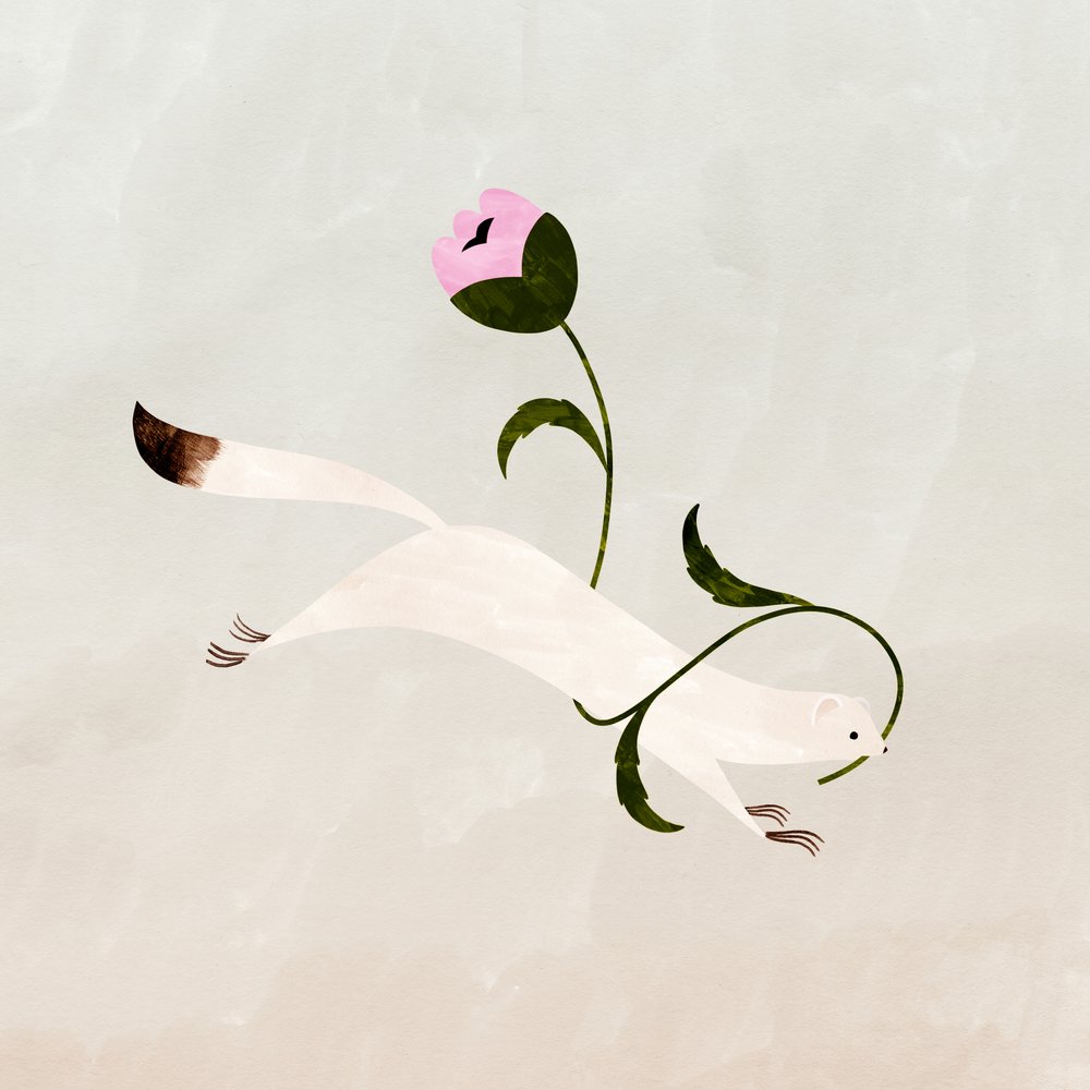 Cueillette des fleurs, 2021 - Léa Le Pivert
