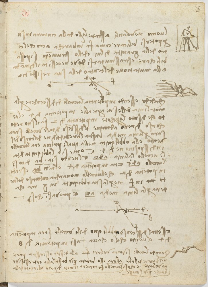 Code sur le vol des oiseaux, c. 1505-06, manuscrit sur papier, cc. 18, feuille 5 recto - Leonardo da Vinci