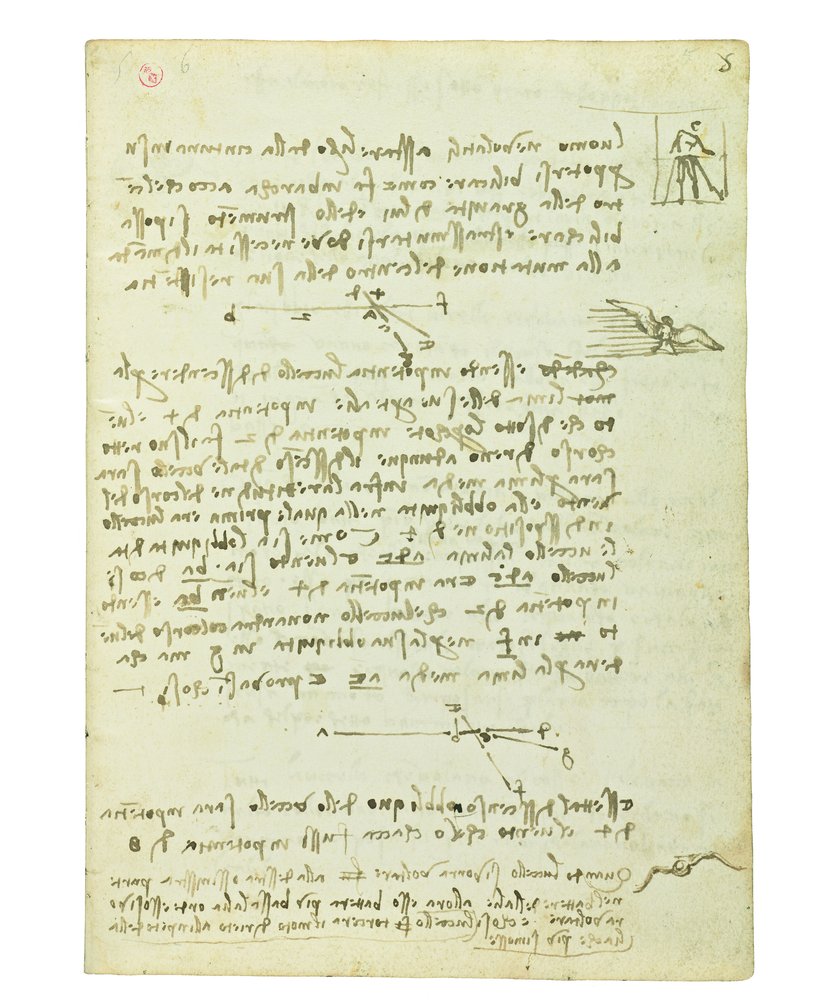 Codex sur le vol des oiseaux, Folio 5 recto | Estampe d'art