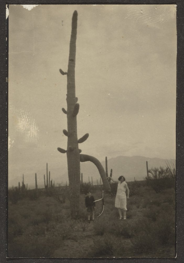 [Femme et enfant avec un cactus] - Louis Fleckenstein