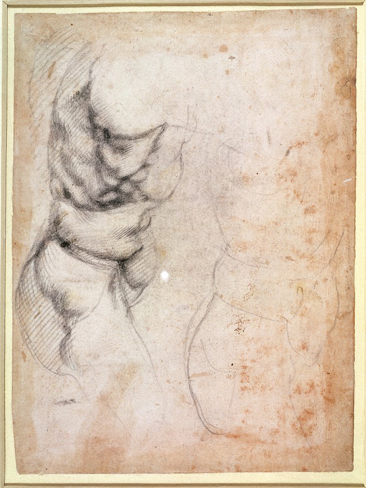 Étude de torse et de fesse (charbon sur papier) - Michelangelo Buonarroti