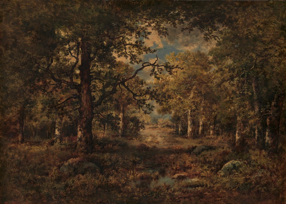 Une vue à travers les arbres : Fontainebleau, 1873 - Narcisse Virgile Diaz de la Peña