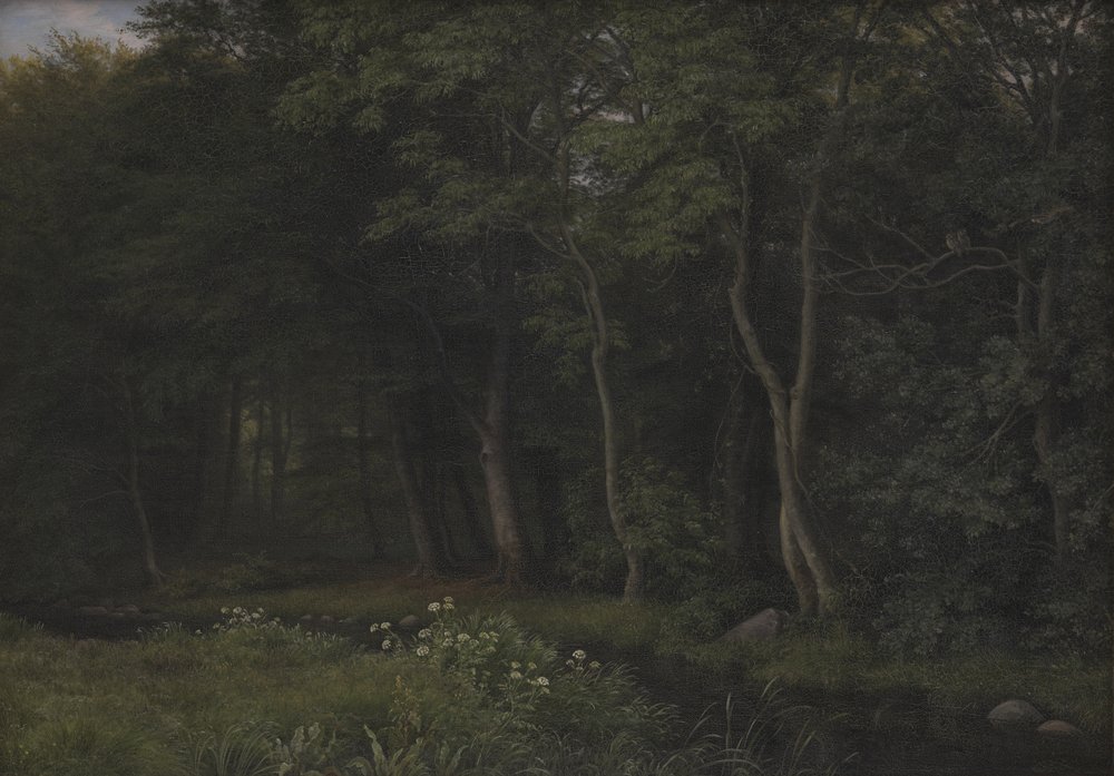 Crépuscule dans un bois près du manoir d