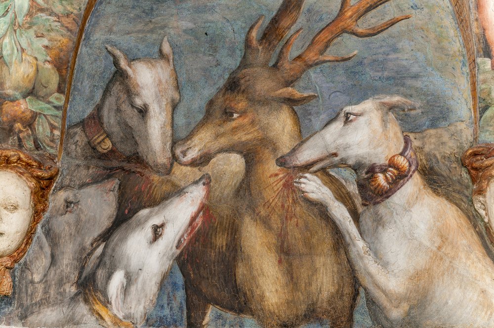 Actéon, transformé en cerf, est dévoré par ses propres chiens, de la salle de Diane et Actéon, mur nord, détail de 2384753 - Parmigianino