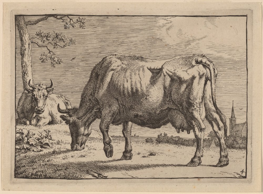 Vache en train de paître - Paulus Potter