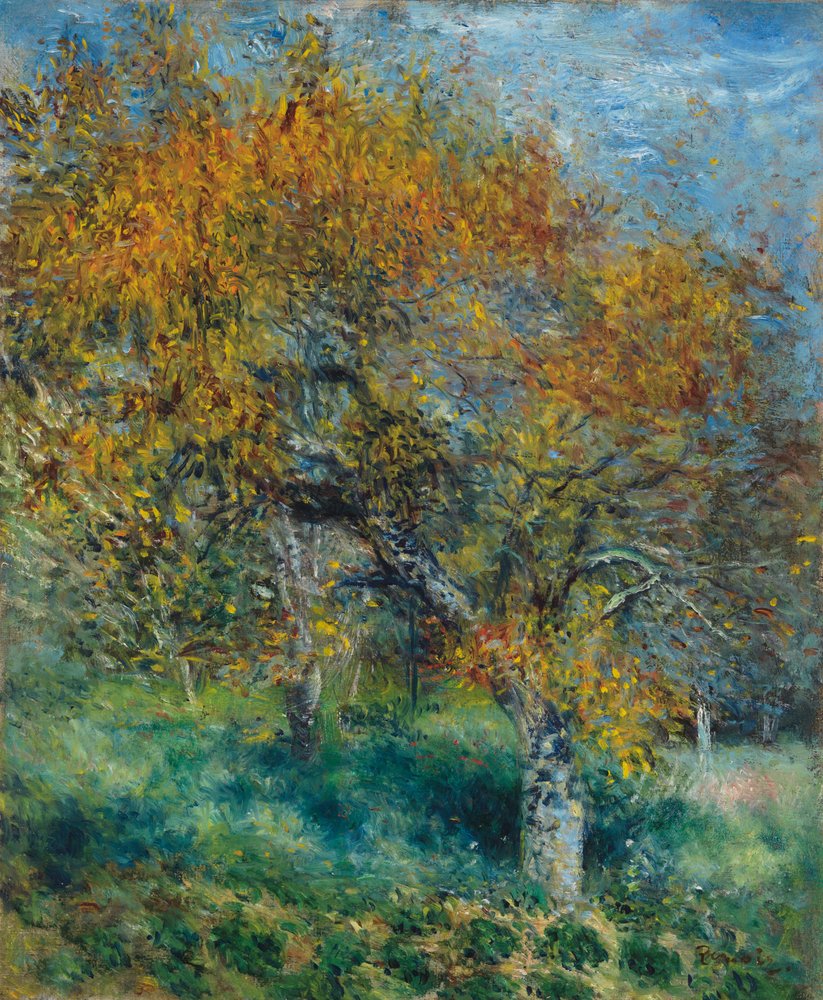 Le Poirier, vers 1870 - Pierre-Auguste Renoir
