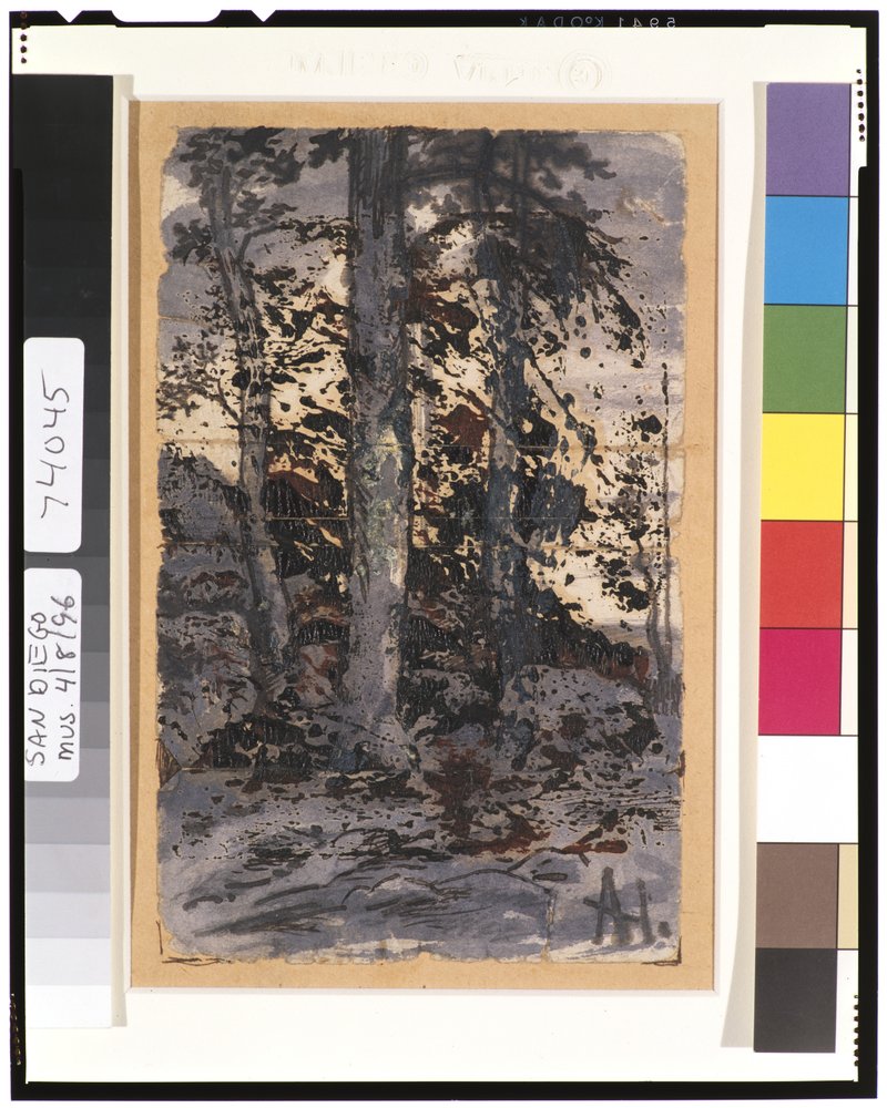 Paysage d