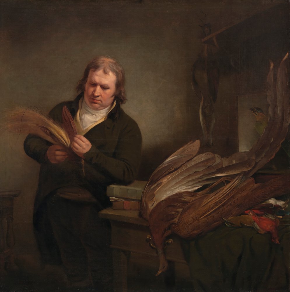 Un ornithologue, peut-être John Latham - Ramsay Richard Reinagle