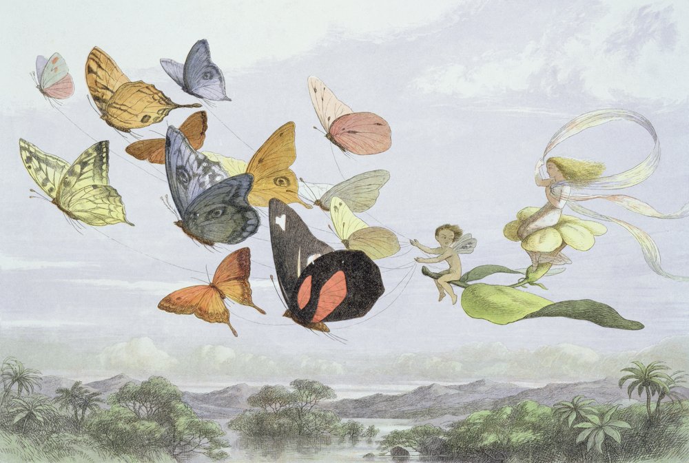 Le carrosse de la Reine des fées, illustration de « In Fairyland: A Series of Pictures from the Elf-World » par William Allingham et Andrew Lang - Richard Doyle