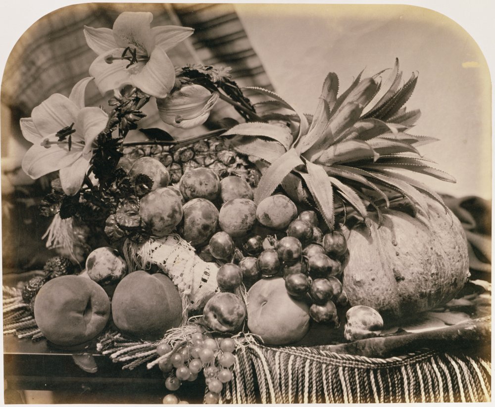 Nature morte aux fruits, 1860 - Roger Fenton