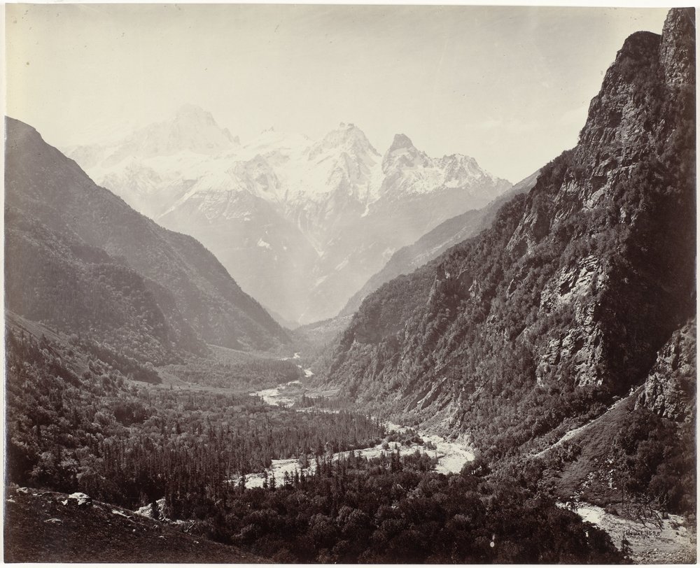 Vue d