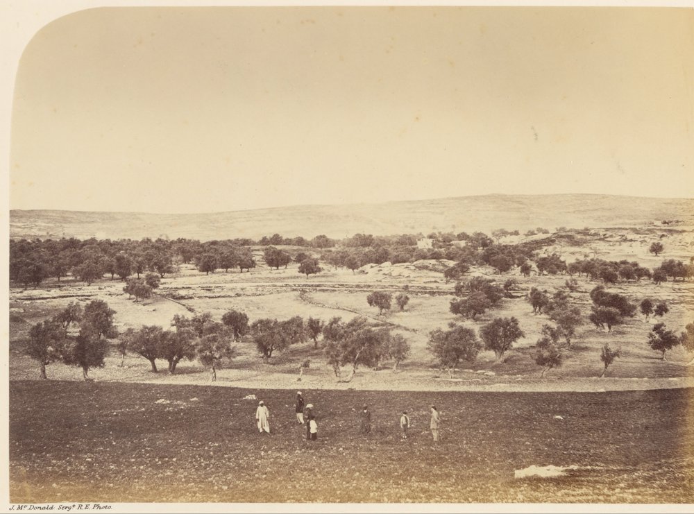 Vue panoramique de la ville - Vue générale de la ville depuis le nord - Sgt. James M. McDonald