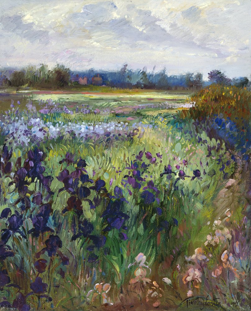 À travers Great Green, Burgate, 1992 - Timothy Easton