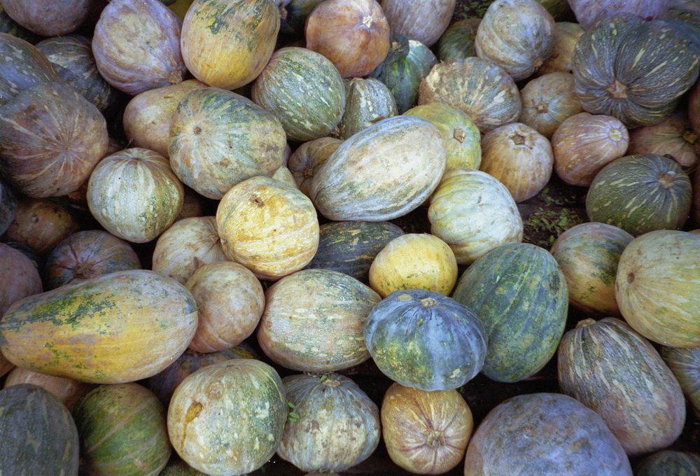 Melons, 1995 | Unbekannt Unbekannt | Estampe d'art