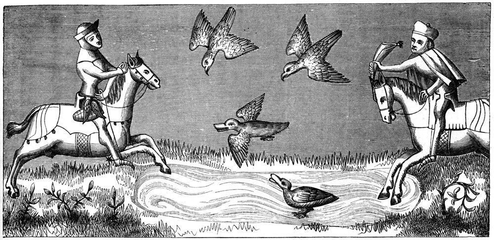 Comment baigner un nouveau faucon, 14ème siècle 1849 - Unbekannt