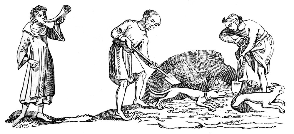 La découverte d
