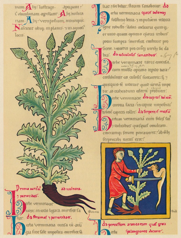 Verveine, 1947 - Unbekannt