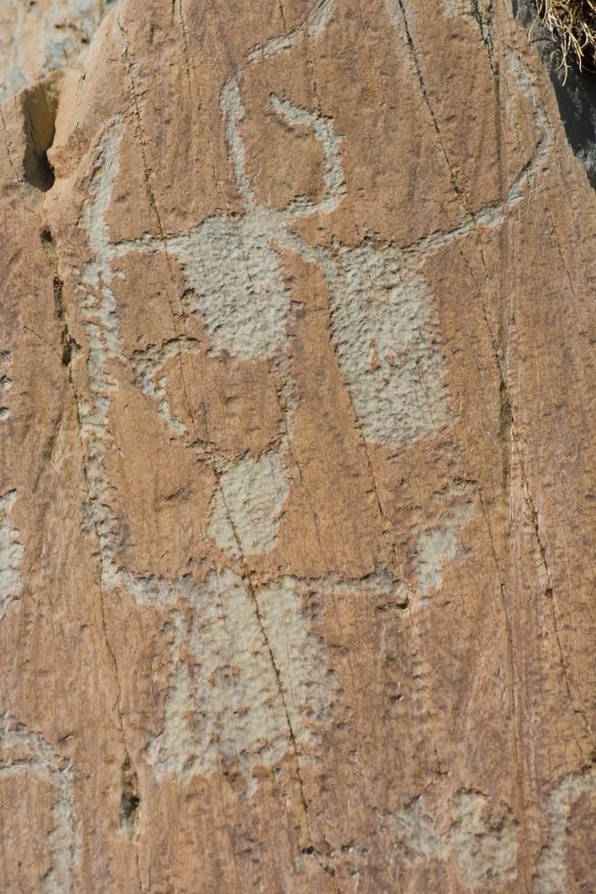 Gravures rupestres de la Vallée de Fontanalba / corniformes emboîtés ou bovins / Parc national du Mercantour / Tende / Alpes-Maritimes / France - Unbekannt
