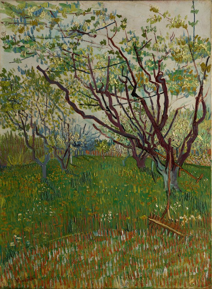 Tableau - Le Verger Blanc - Vincent Van Gogh 60x80cm | Maisons du Monde