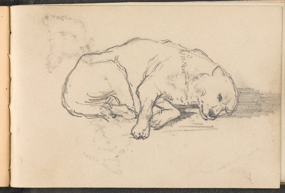 Esquisse d'un chien endormi | William Barnes Wollen