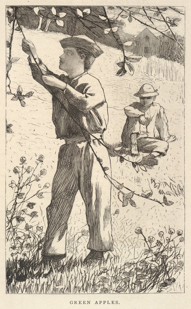 Green Apples, tiré de Our Young Folks, août 1868 - Winslow Homer