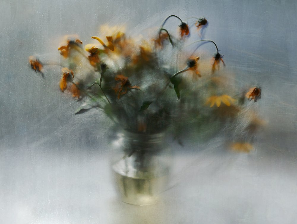 Fleurs évanescentes et rêveuses - Ala Pneuma