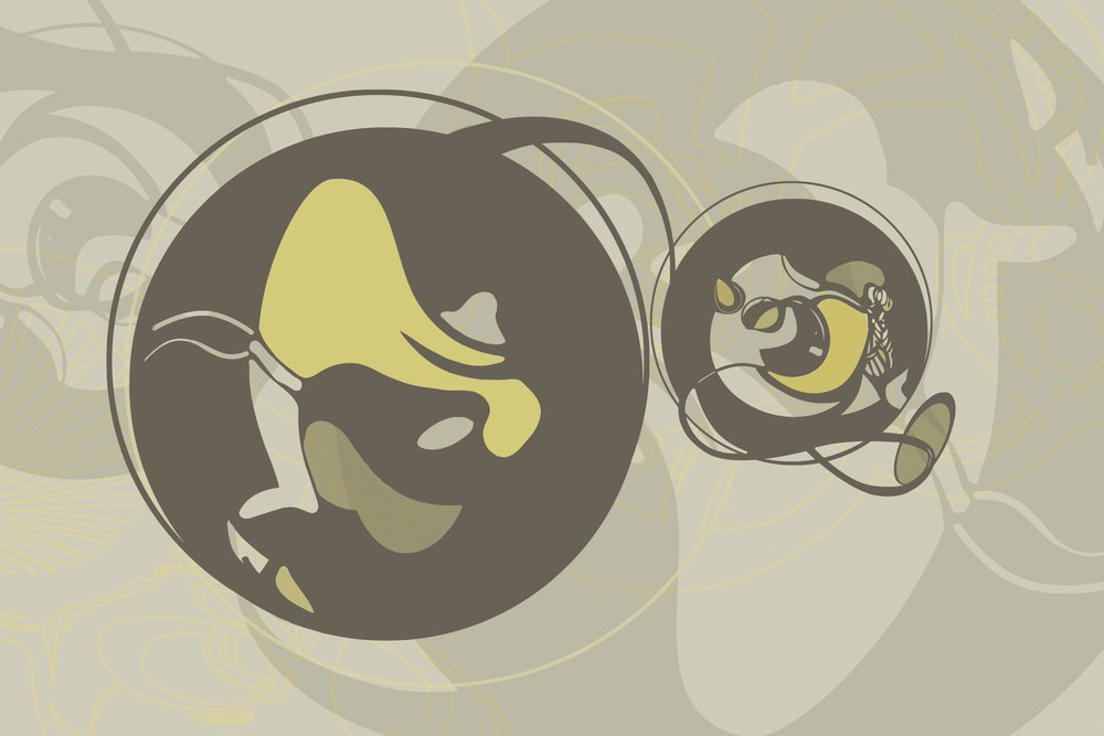 Formes organiques dynamiques - Alejandra Winkhaus