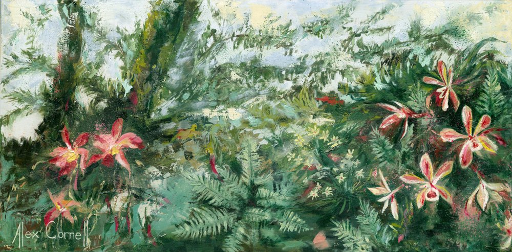 Orchidées tropicales aux couleurs vives - Alex Cornell