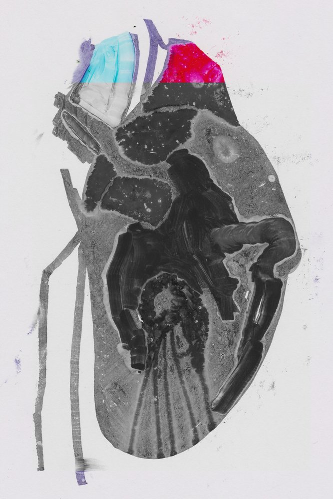 Moyenne - Alexander Adiels