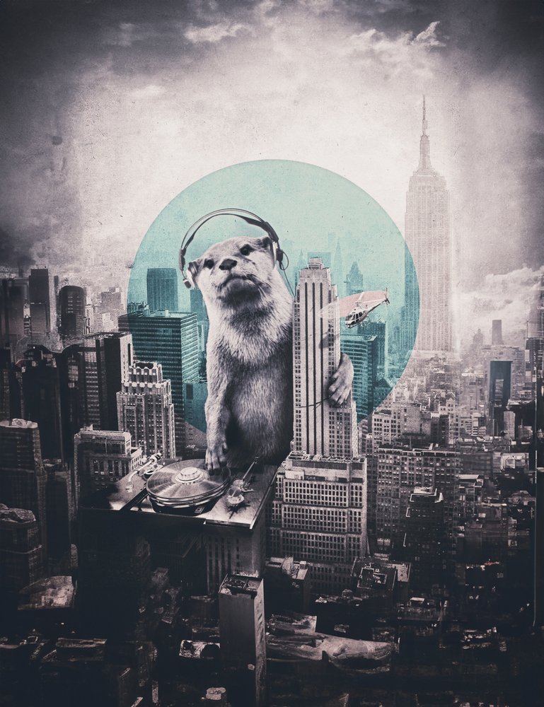 Urban Otter DJ - Ali Gulec