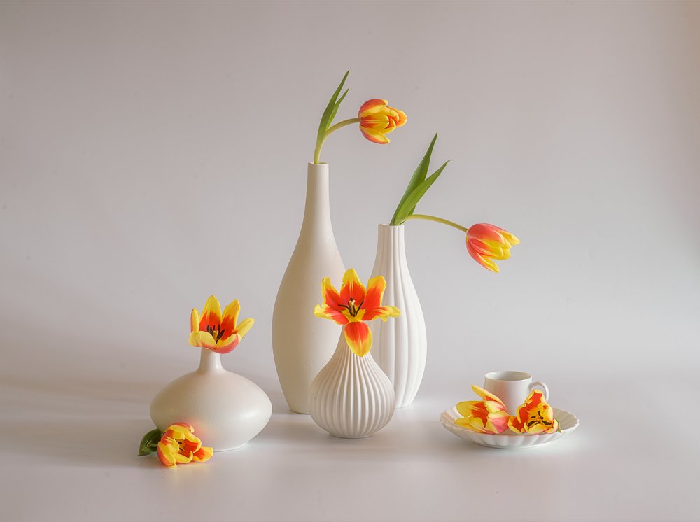 Nature morte aux tulipes aux couleurs vives - Alice Sheng