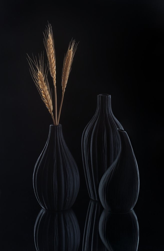 Nature morte sombre et élégante - Alice Sheng