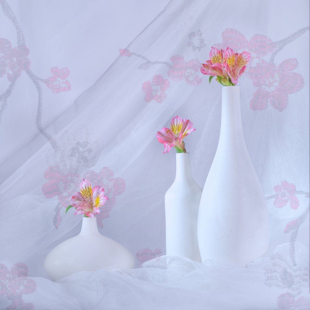 Élégantes fleurs roses - Alice Sheng