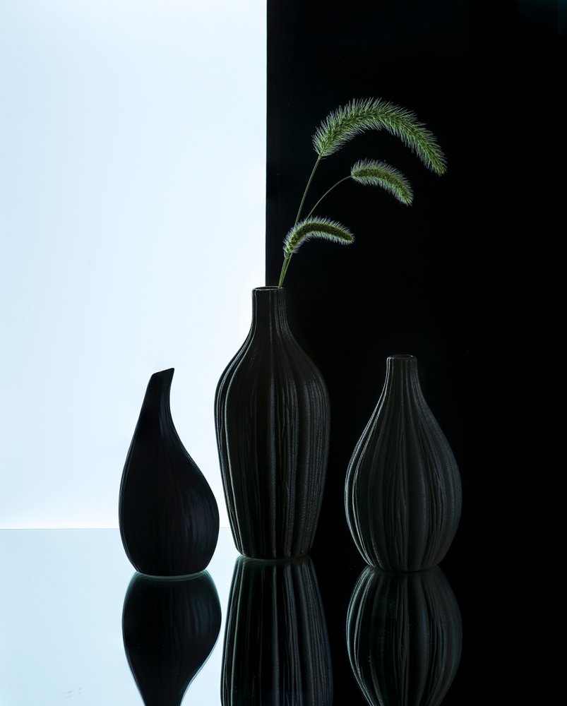 Vases élégants avec de l