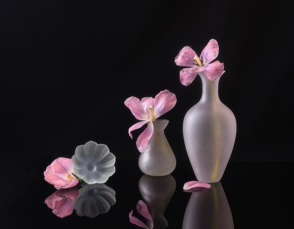 Tulipes roses fanées - Alice Sheng