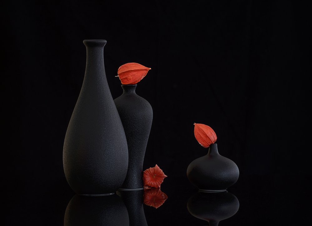 Nature morte aux physalis orange - Alice Sheng
