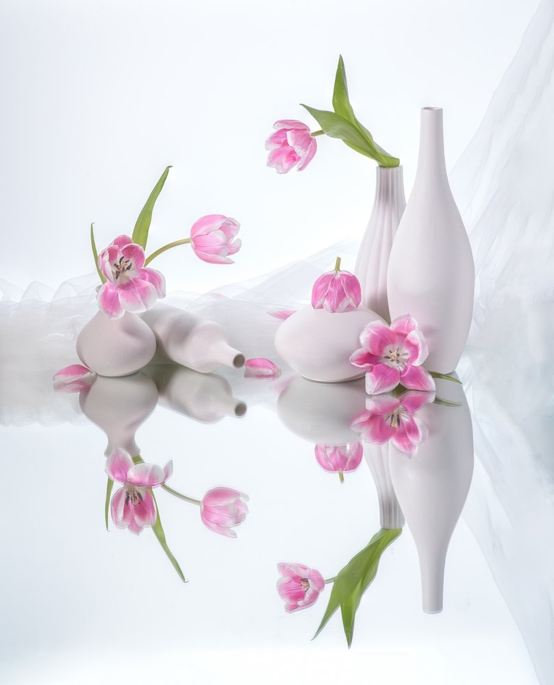 Réflexions sur les tulipes roses - Alice Sheng