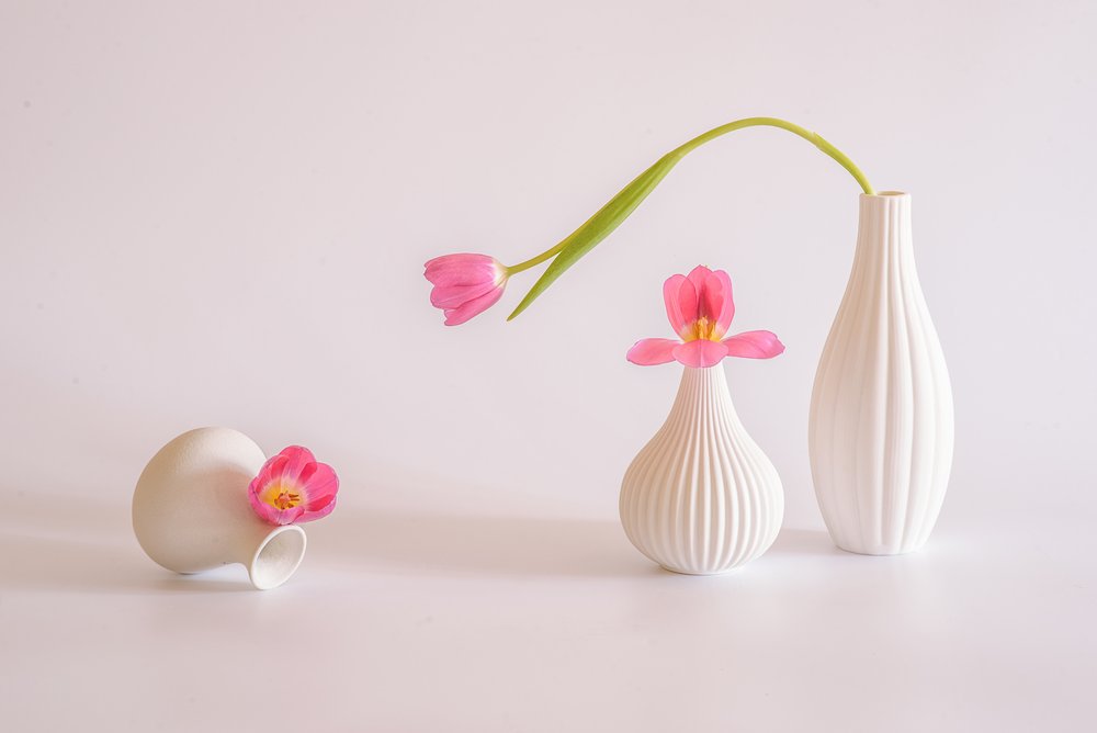 Tulipes roses dans des vases blancs - Alice Sheng