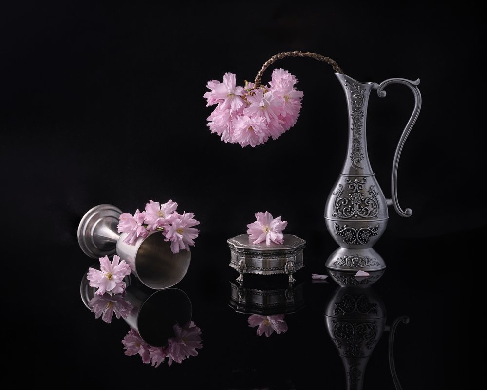 Silver et Sakura - Alice Sheng