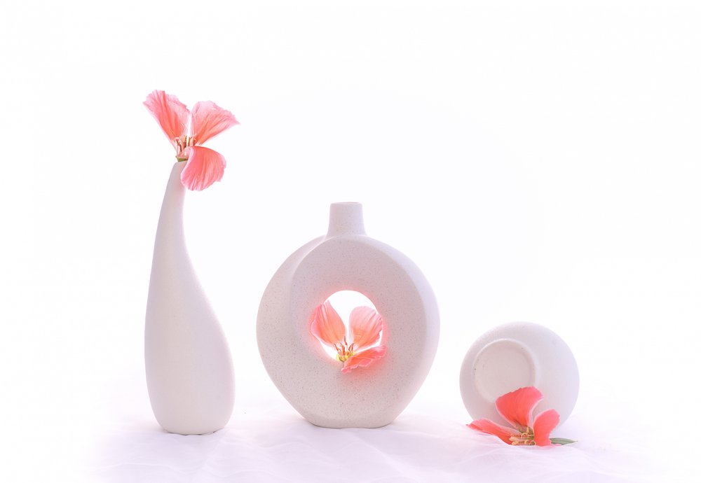 Nature morte rose pâle - Alice Sheng