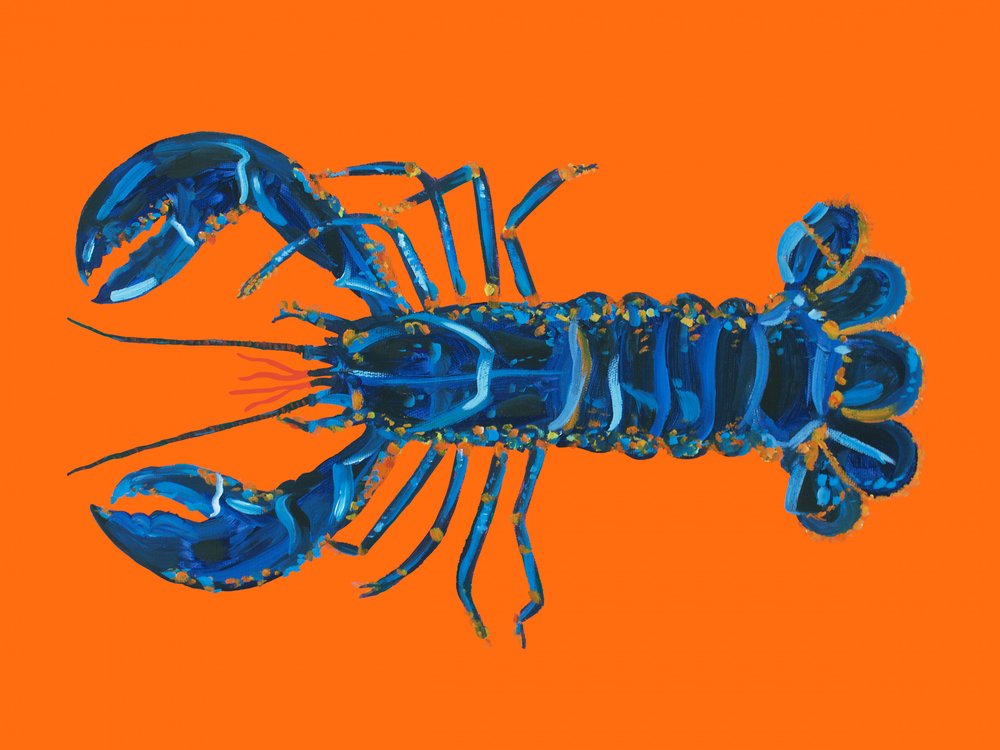 Homard bleu vif - Alice Straker