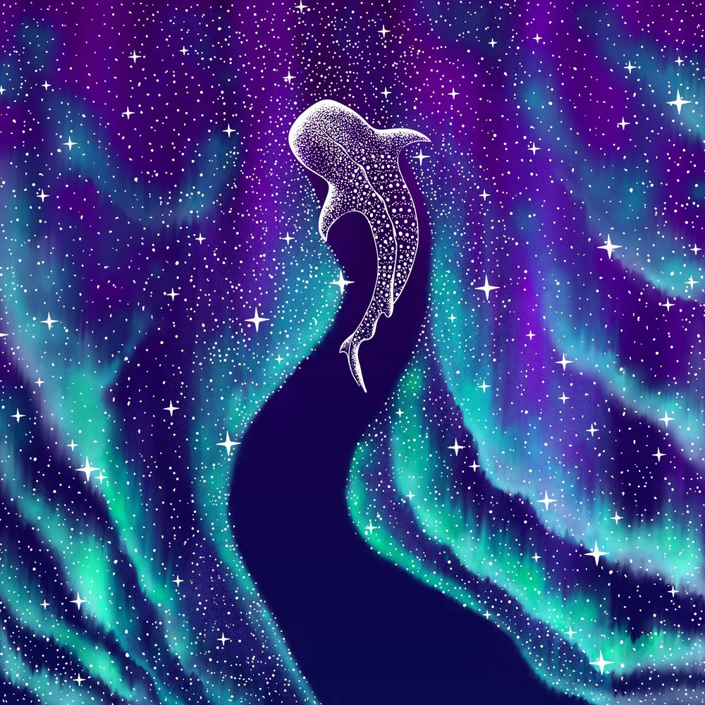 Requin-baleine céleste - Alirıza ÇAKIR