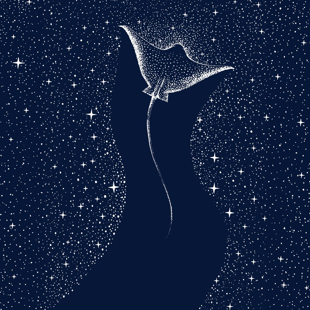 Cosmic Manta Ray - Alirıza ÇAKIR