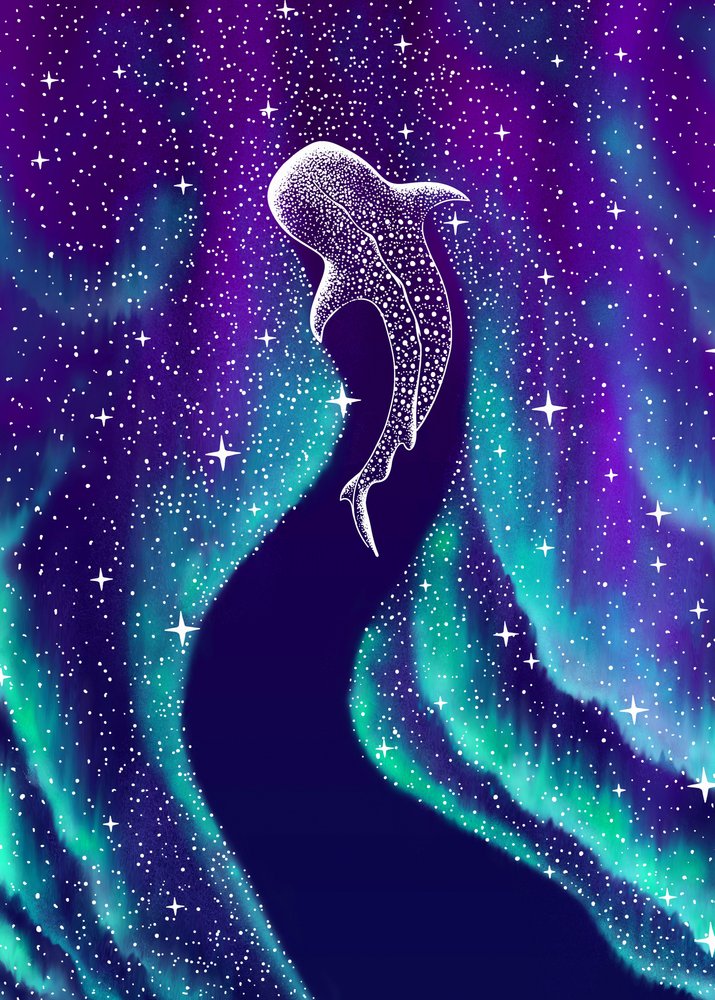 Aurores boréales et requin-baleine - Alirıza ÇAKIR