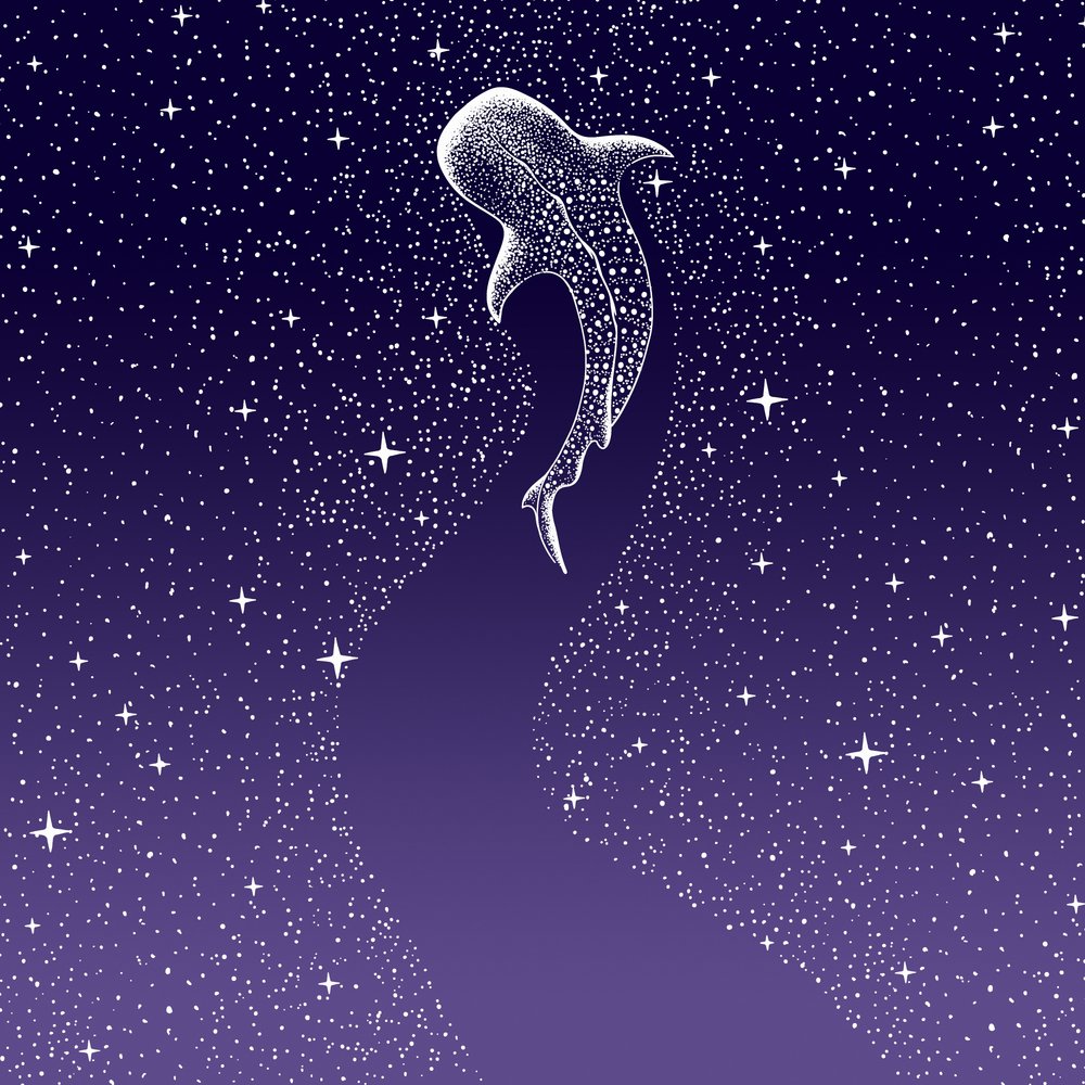 Star Eater : dégradé du bleu foncé au violet - Alirıza ÇAKIR