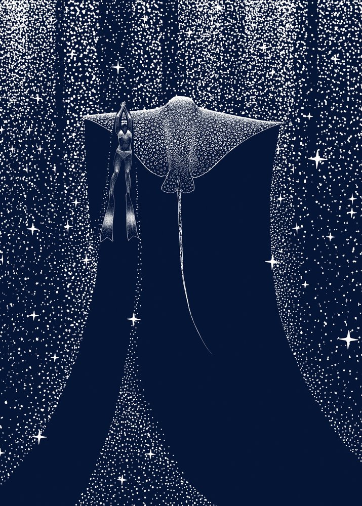 Le compagnon de Starlit Ray - Alirıza ÇAKIR