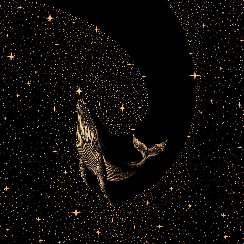 Une baleine parmi les étoiles - Alirıza ÇAKIR