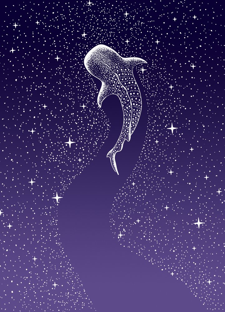 Nage avec les requins-baleines dans la galaxie - Alirıza ÇAKIR